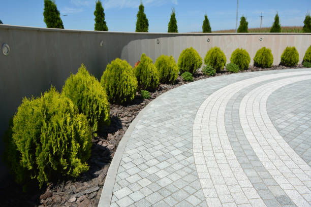 Reasons to Select Us for Your Driveway Paving Requirements in Cloquet, MN
